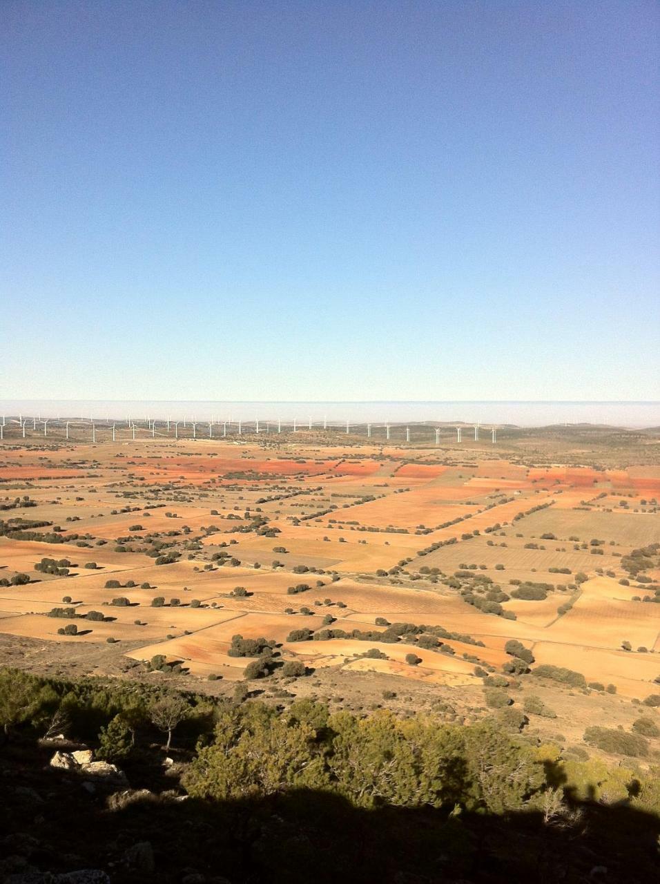 La Posada De Higueruela Dış mekan fotoğraf